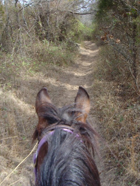 Sportsmans Lake Equestrian Riding Trails, Seminole OK